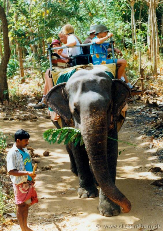 Elefantensafari 1 